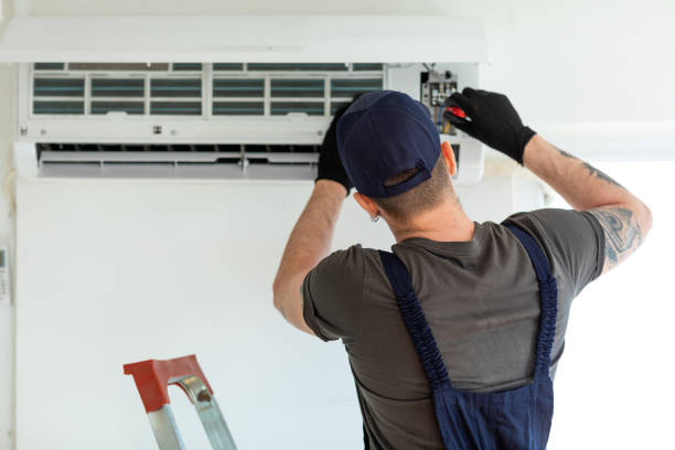 Best Air Duct Mold Removal  in USA